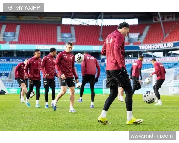 瑞士与德国足球比赛主场地点分析及历史交锋回顾 瑞士与德国足球比赛主场地点分析及历史交锋回顾